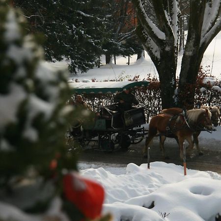 Pension Wolfgangsee Sankt Wolfgang im Salzkammergut Экстерьер фото